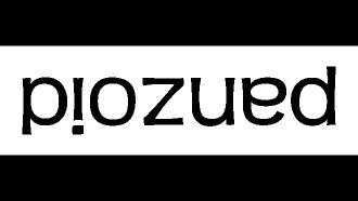 Panzoid